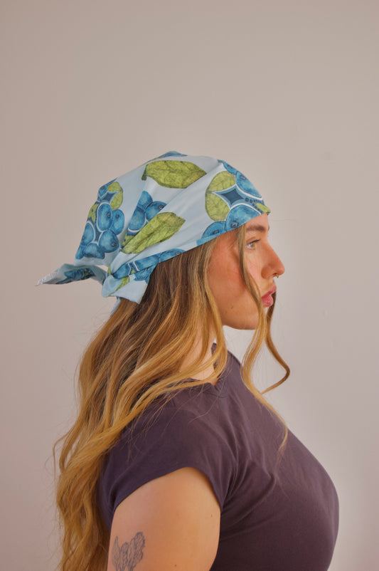 Fruits of Labor- Blueberry Bandy