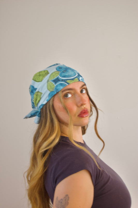 Fruits of Labor- Blueberry Bandy